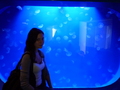 с медузами; Аквариум в Генуе