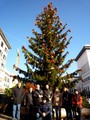 туристы из Питера, под новогодней ёлкой в Генуе